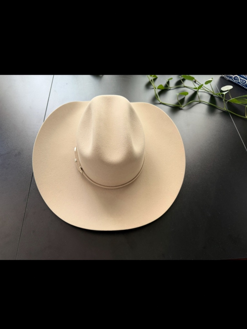 Serratelli Silver Belly 6X Beaver Cowboy Felt Hat